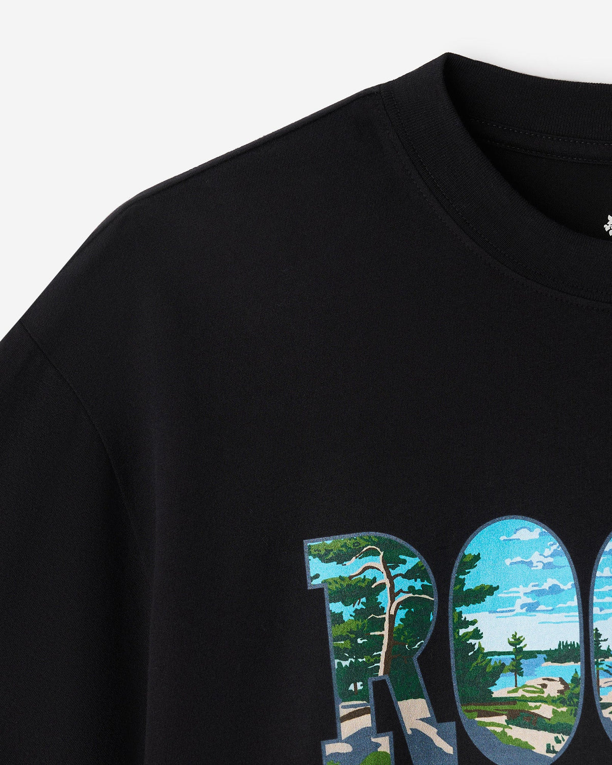 Greetings From Central T-Shirt
