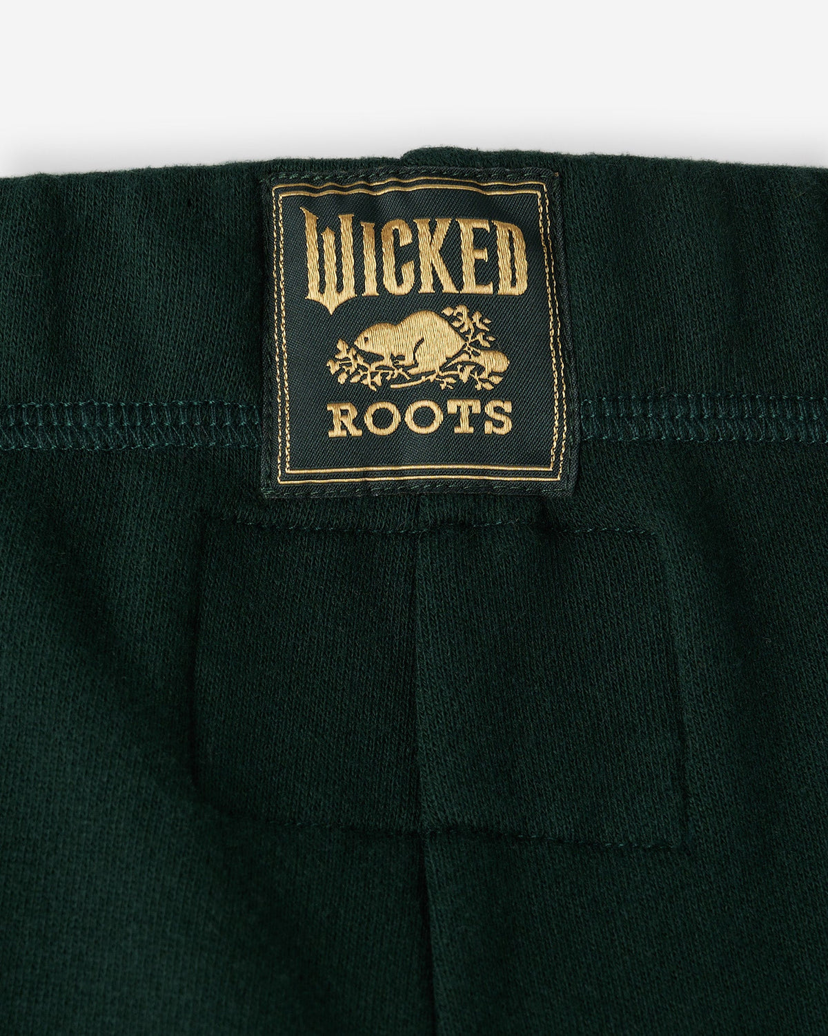 Kids Roots X Wicked Sweatpant