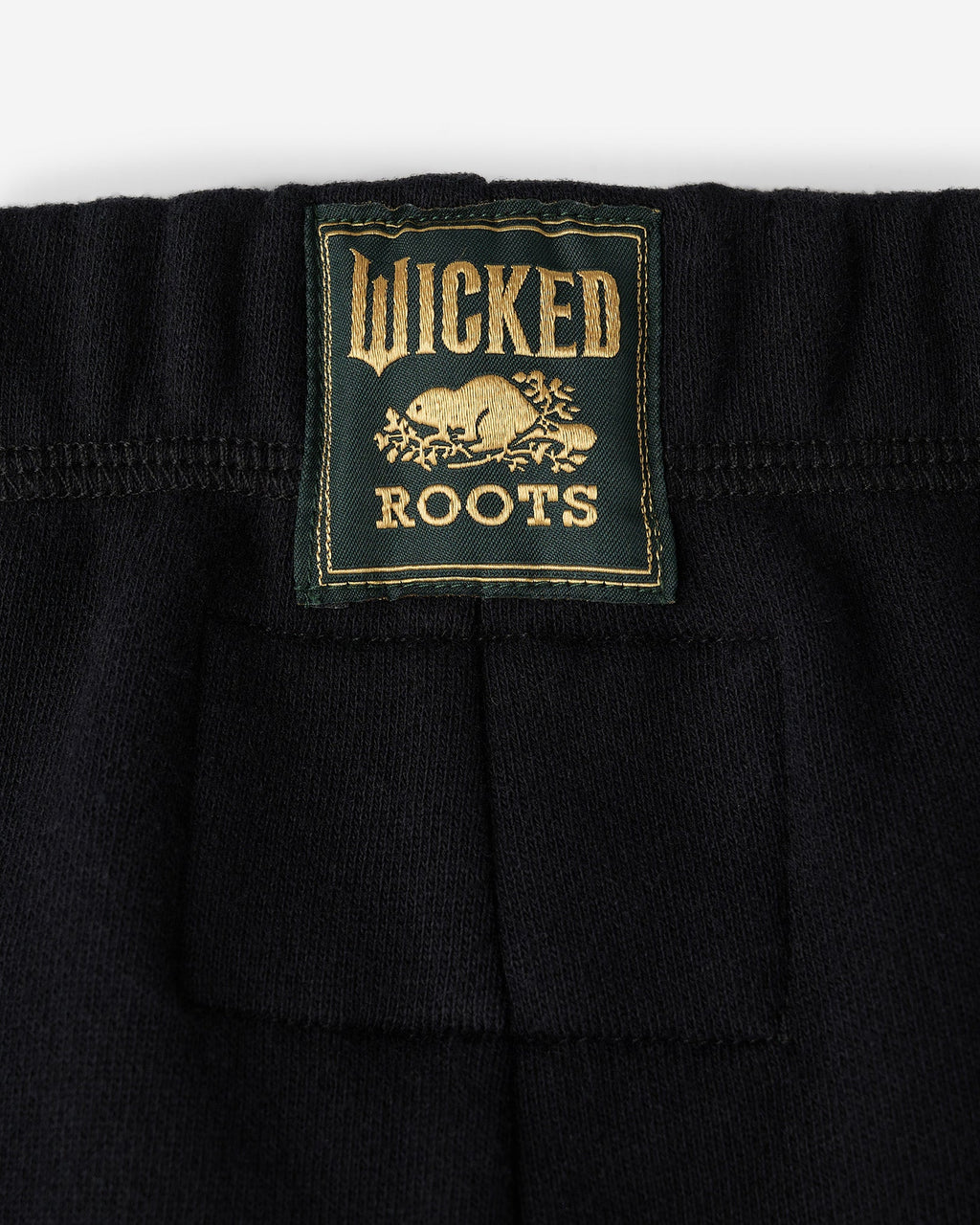Toddler Roots X Wicked Sweatpant