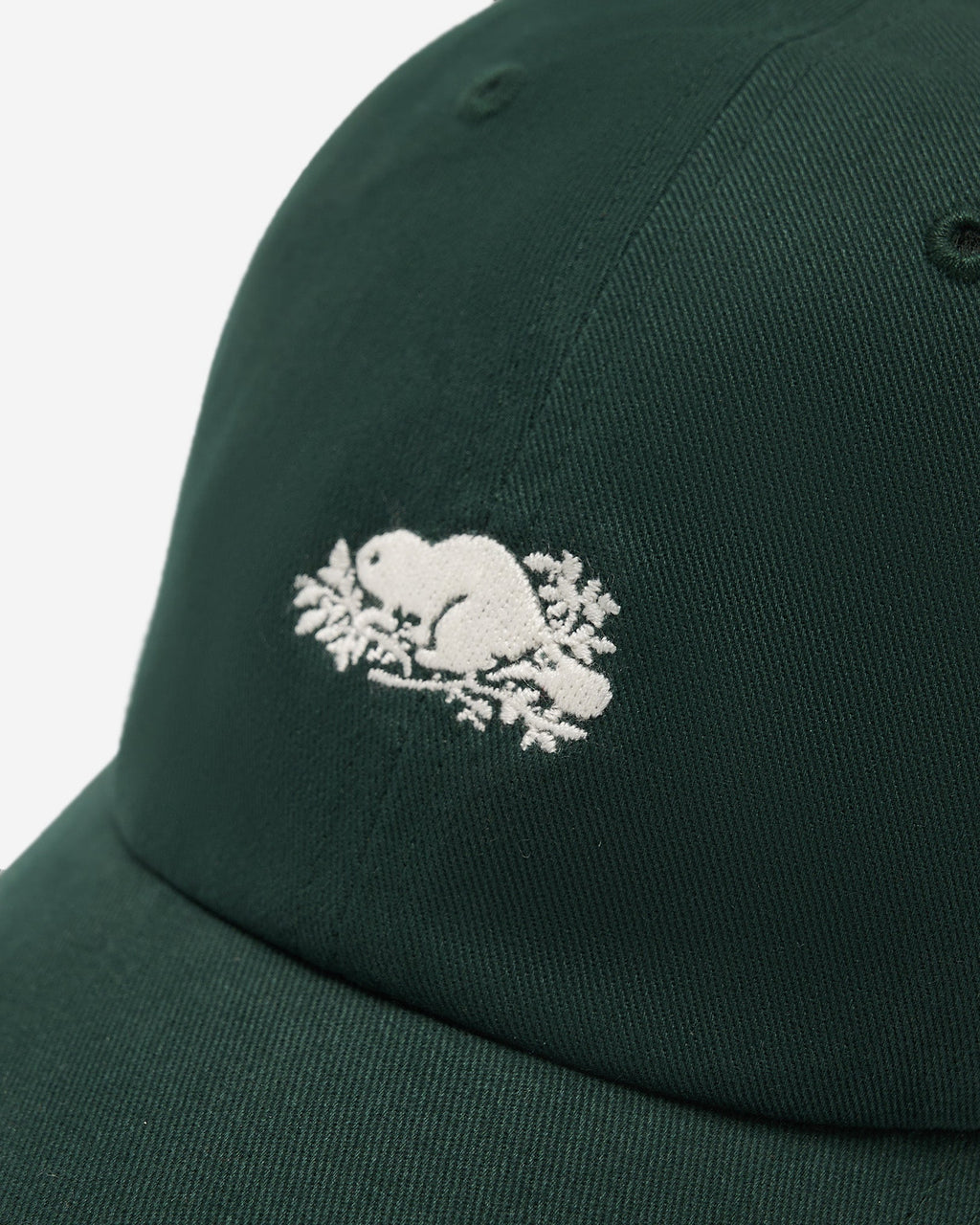 Everyday Cooper Beaver Cap