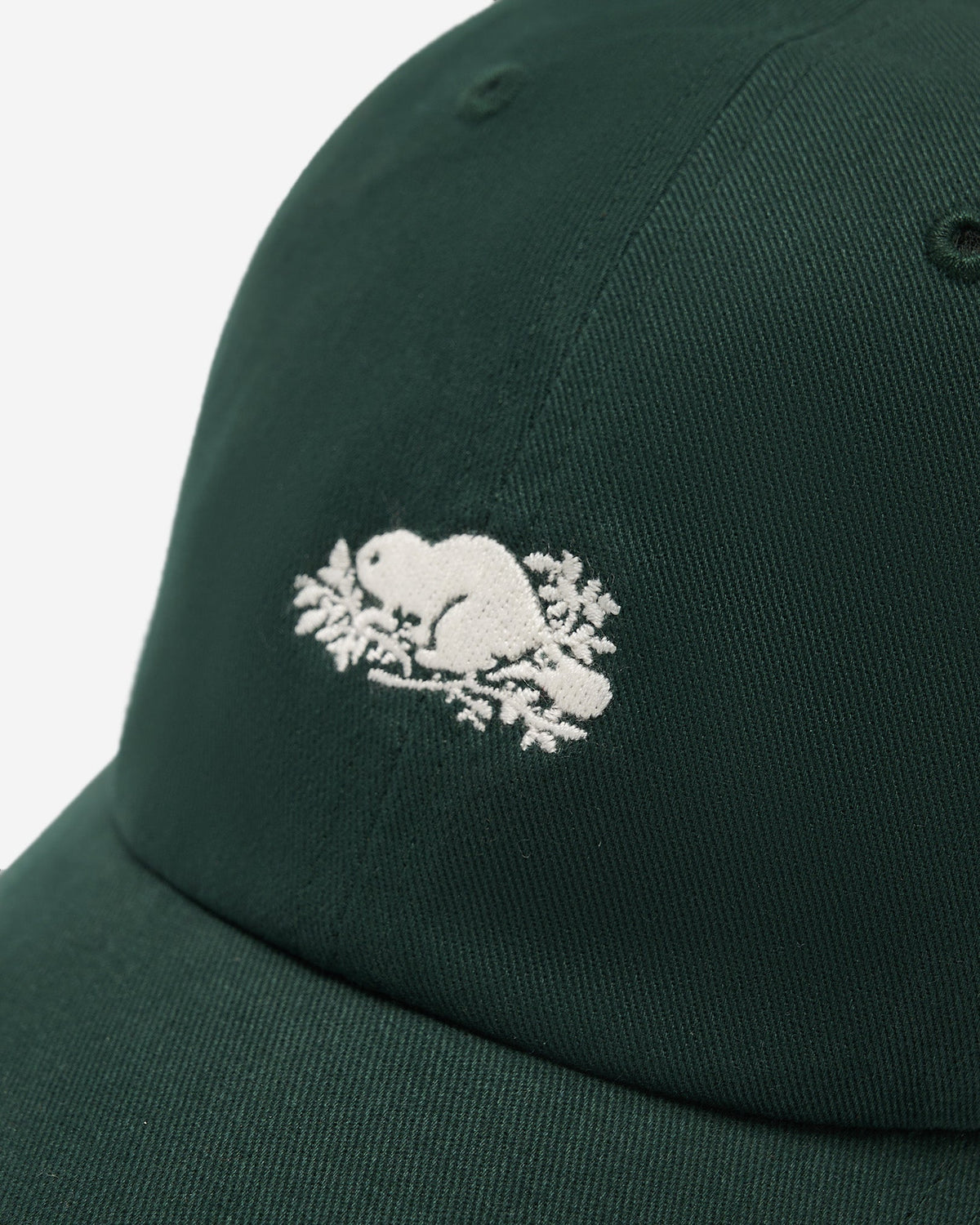 Everyday Cooper Beaver Cap